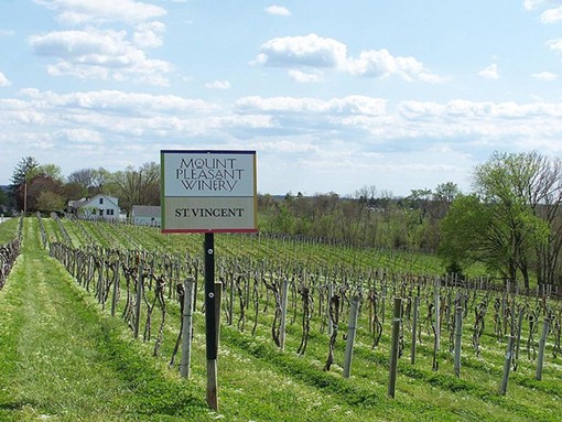 The Noble Writ hopes to drink and visit Missouri wines. - USER "AGNE27," WIKIMEDIA COMMONS
