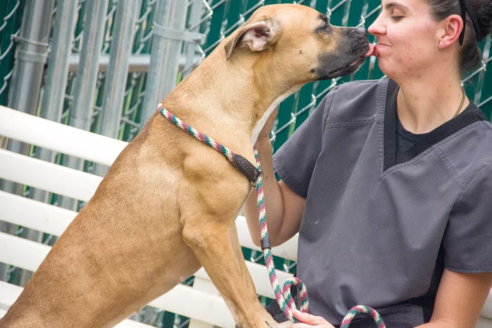 Is St. Louis County Ready to Give Up Its Problem Animal