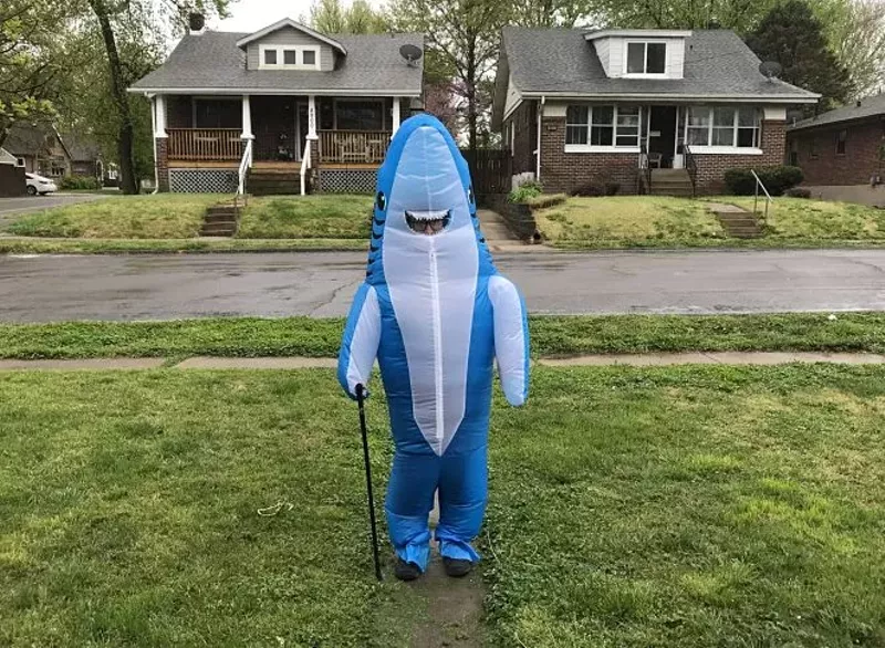 A portrait of the author as a cool shark. - ANJELIQA PRATT