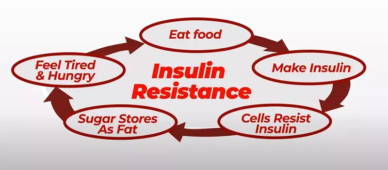 altai_balance_insulin_resistance.jpg