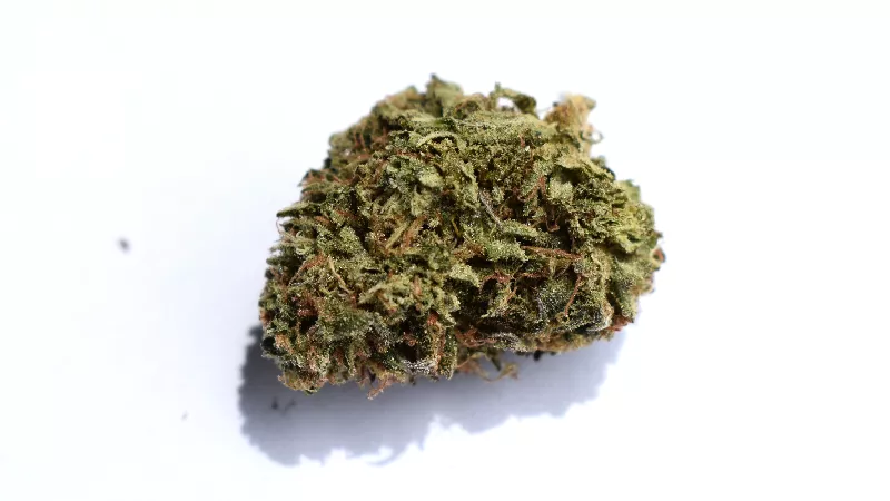 Proper Cannabis' "Alien Rock Candy" is the brand's calling card — and with good reason. - TOMMY CHIMS