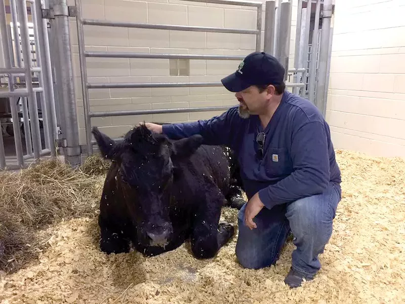 Jay Weiner, Gentle Barn co-founder, crouches next to Spirit at a vet clinic. Spirit wouldn't live to see the Gentle Barn pasture. - COURTESY OF GENTLE BARN