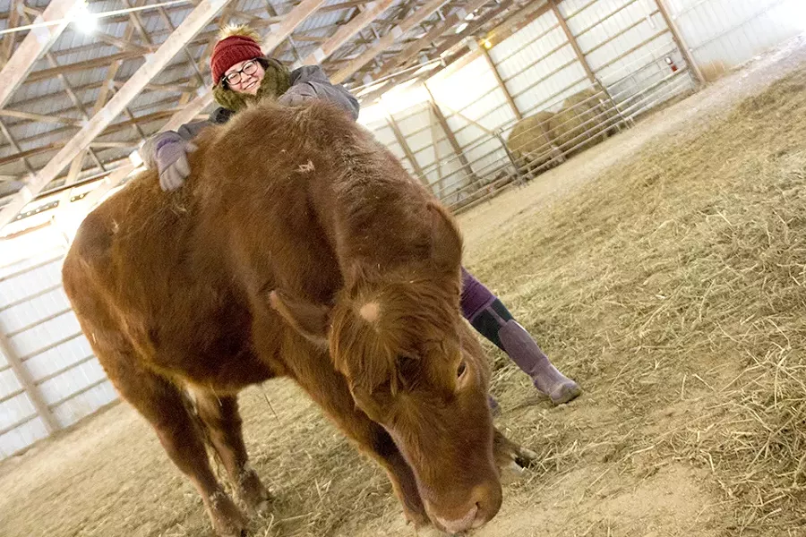 The Gentle Barn raffled off naming rights to other members of the St. Louis Six, but Chico got his name organically: Bystanders chanted "Free Chico!" as he avoided police. - DANNY WICENTOWSKI