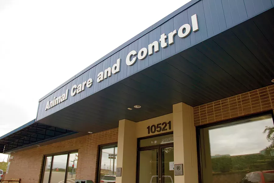 The shelter's annual intake has fallen sharply in recent years, from 6.300 in 2016 to 4,400 in 2018. - DANNY WICENTOWSKI