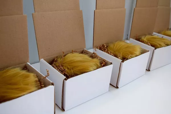 A line of Trump candles, preparing for takeoff. - COURTESY OF JD AND KATE INDUSTRIES