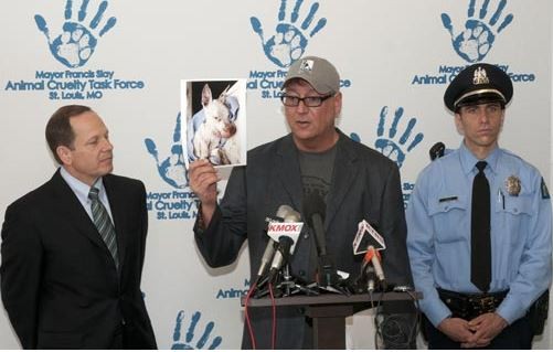 Stray Rescue founder Randy Grim, center, shares updates on St. Louis' problems with cruelty to animals next to Mayor Francis Slay. - DANNY WICENTOWSKI
