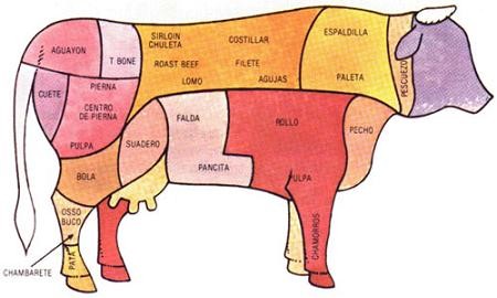 Spanish Cuts Of Beef Chart