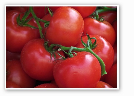 &nbsp;&nbsp;&nbsp;&nbsp;&nbsp;&nbsp;&nbsp;Tomatoes really are the best. | Garry Knight