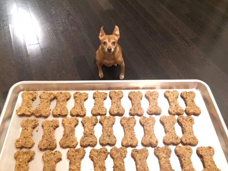 Can Breweries Make Dog Treats Can Breweries Make Dog Treats