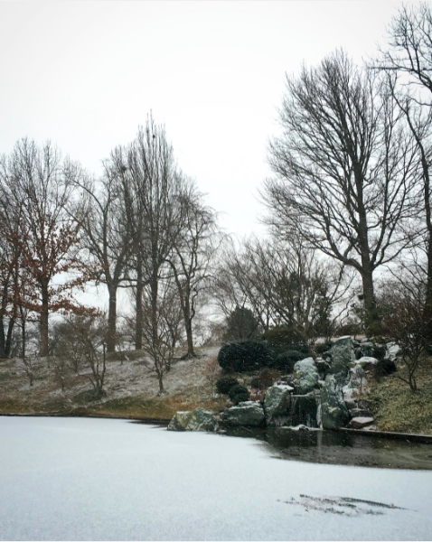 Naturally, the Missouri Botanical Garden looks gorgeous in all weather. - INSTAGRAM / MOBOTGARDEN