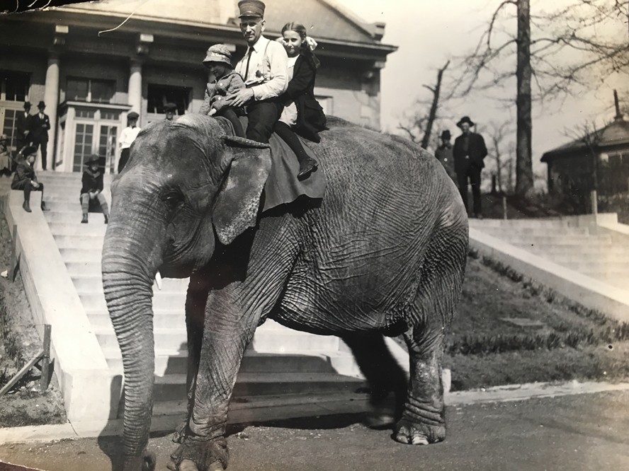 Vintage Photos of the Saint Louis Zoo Reveal How Much Has Changed | News Blog