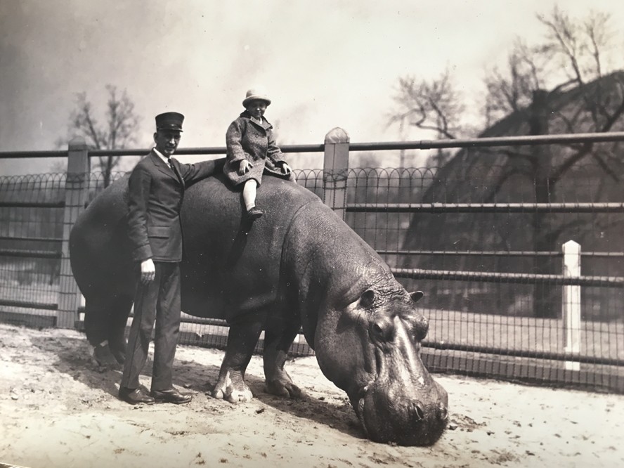 Vintage Photos of the Saint Louis Zoo Reveal How Much Has Changed | News Blog