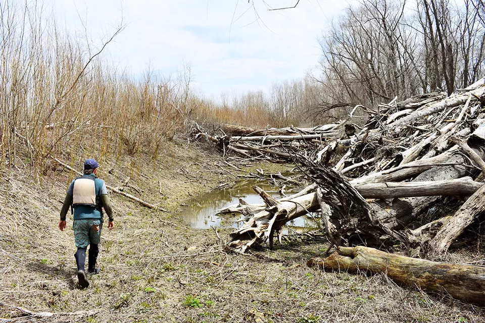 Big Muddy Adventures guide Paul Gruber leads the way across one of the Mississippi River islands. - DOYLE MURPHY