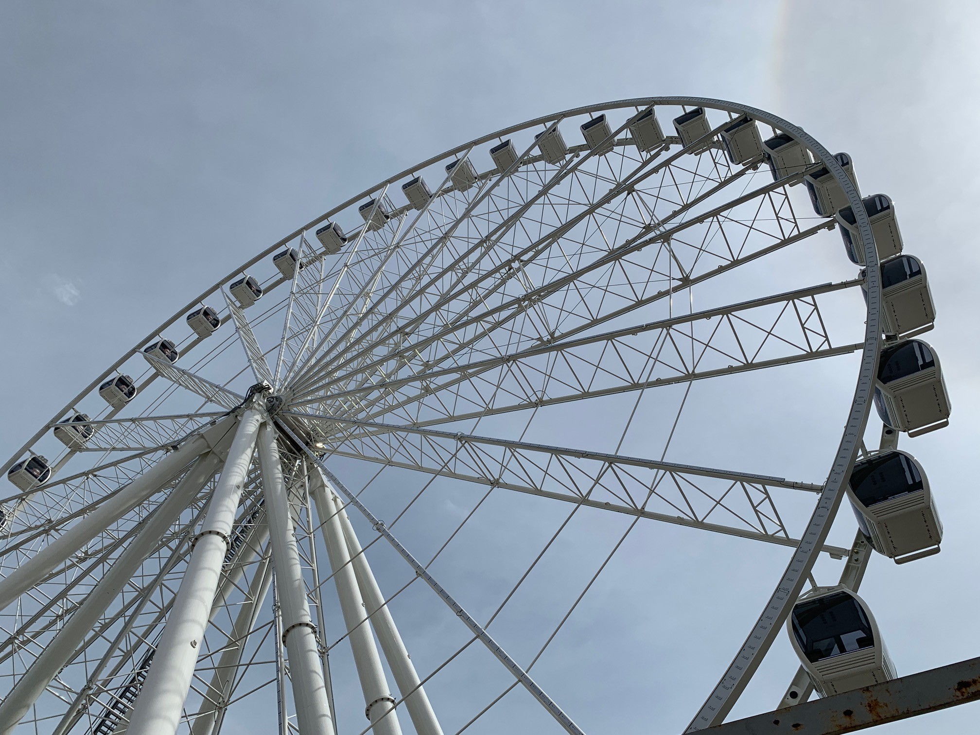 St. Louis Wheel Opens Today, Movie Nights Start This Weekend | Arts Blog