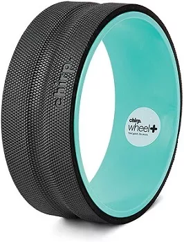 plexus-chirp-wheel.jpg