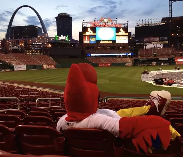 Opening Day Thirty Cardinals Fans Who Are So Excited They Just Can't