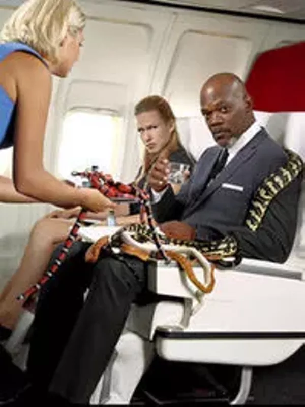 Snakes on a plane gay