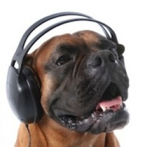 the dog music