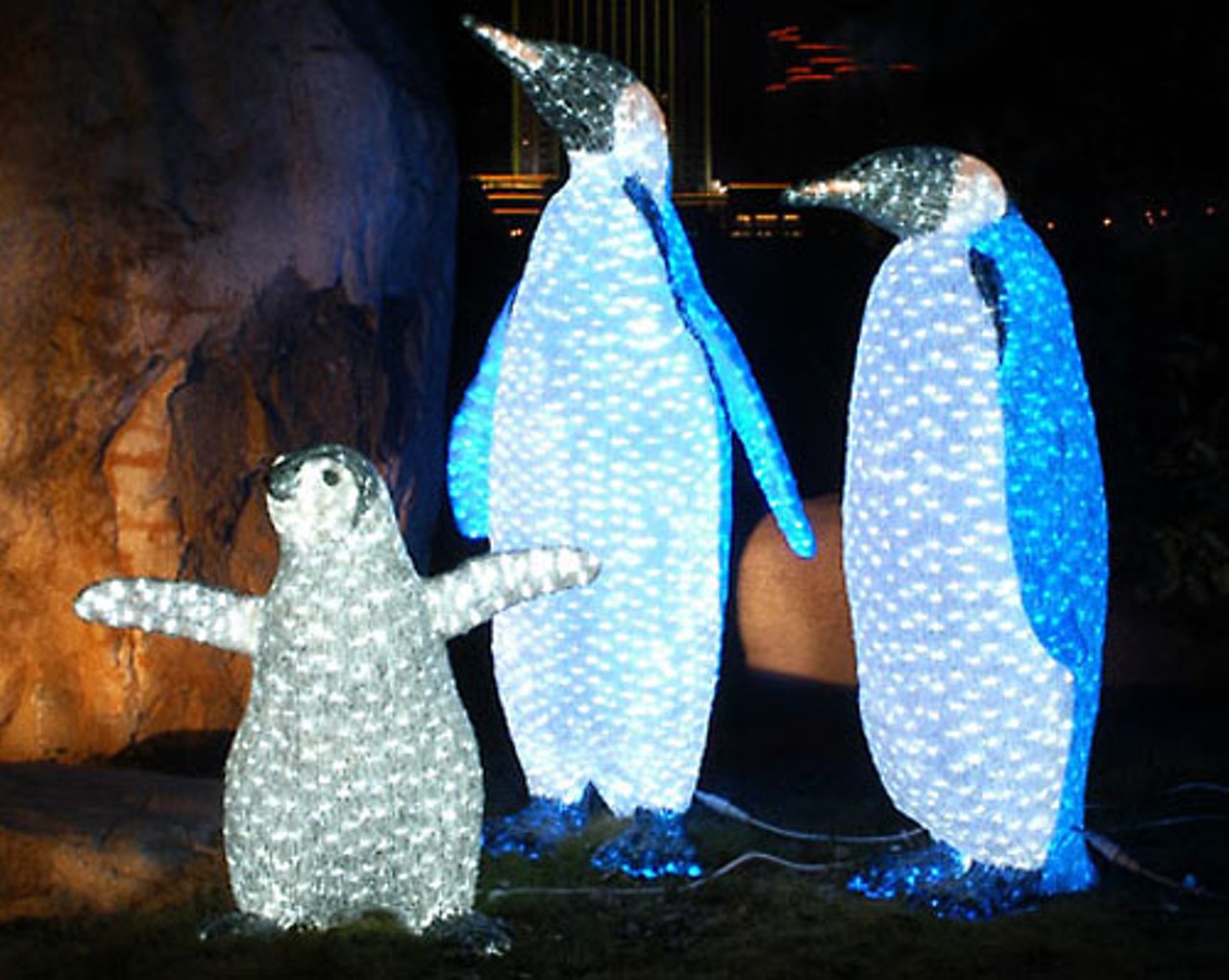 Christmas at the Zoo | Night & Day | St. Louis | St. Louis News and Events | Riverfront Times