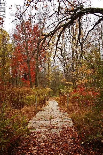 Black Creek Park covers 1500 acres in the southwest corner of Chili. - FILE PHOTO