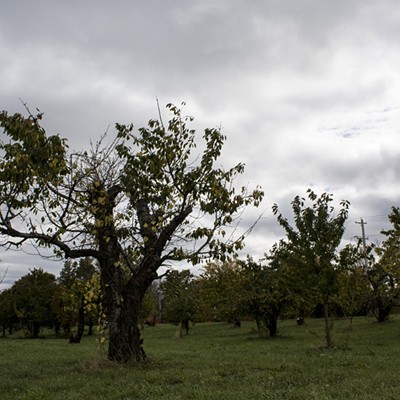 Hurd Orchards