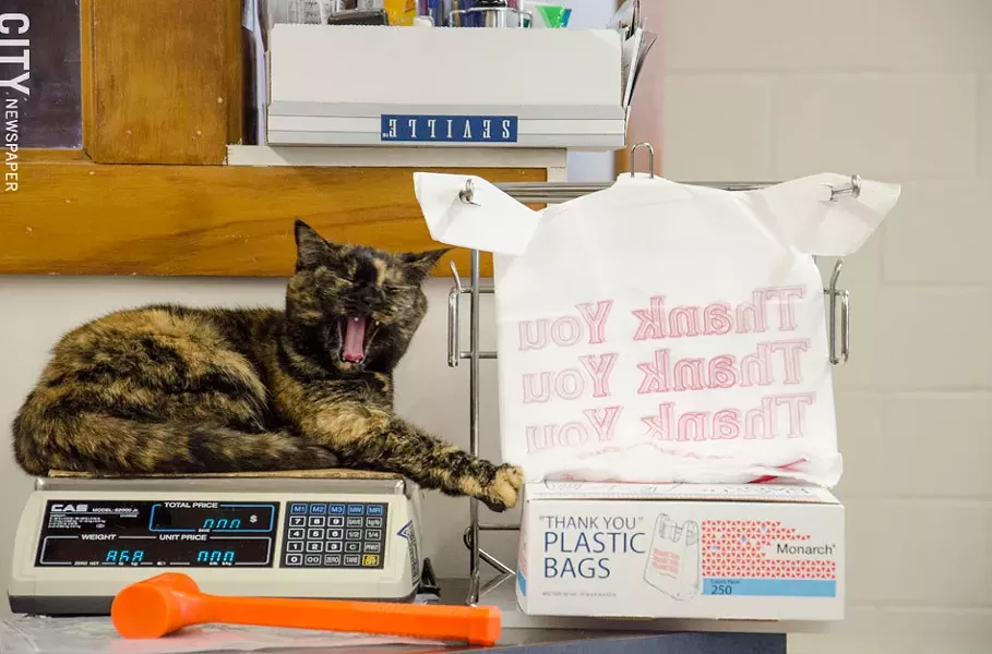 Inside Natural Pet Foods. - PHOTO BY MARK CHAMBERLIN