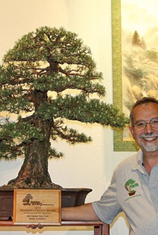 SPECIAL EVENT | Bonsai Exhibition and Sale