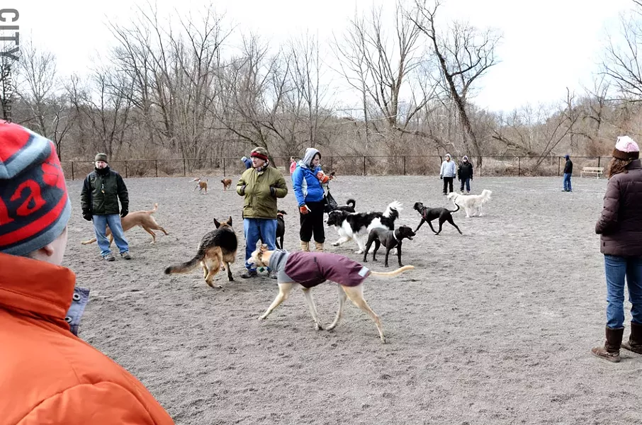 The Ellison Dog Park in Penfield is one of two official dog parks in the area, giving dogs (and their owners) a place to socialize off-leash. - PHOTO BY MATT DETURCK