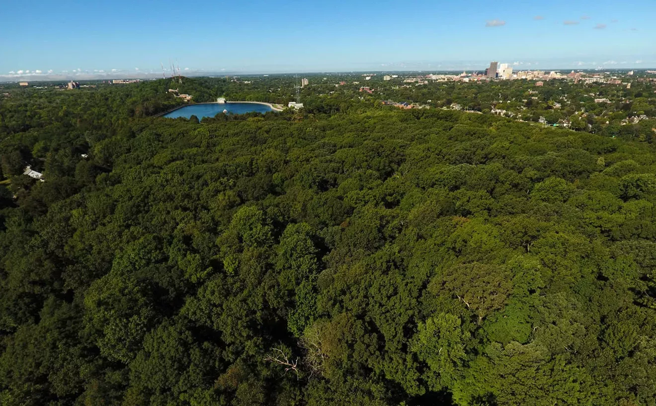 Best Stargazing Spot: Cobbs Hill Park