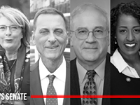 What's at play in the State Senate races
