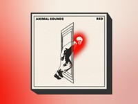 Animal Sounds teases new album with the dark single ‘RED’