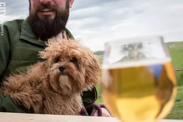 A sweet pupper enjoys a cold one on the patio at Other Half Brewing in Bloomfield. - FILE PHOTO