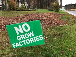 Lawn signs opposing a proposed indoor lettuce farm have sprouted around Webster. - PHOTO BY DAVID ANDREATTA