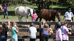 A Horse's Friend began with just a few horses and now has nearly two dozen, serving hundreds of riders year-round. - PHOTO CREDIT MAX SCHULTE / WXXI NEWS