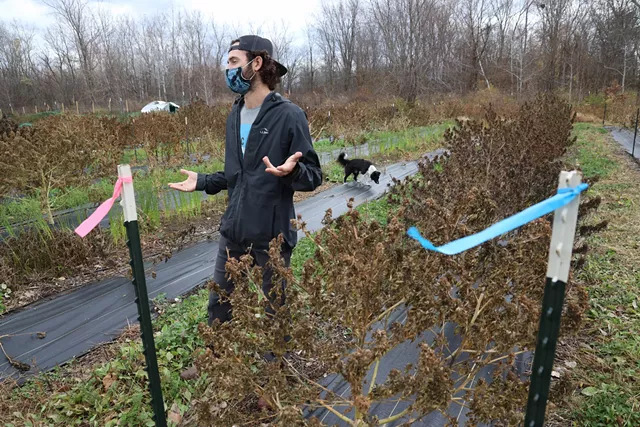 Zach Sarkis on his hemp farm in Spencerport. - PHOTO BY MAX SCHULTE