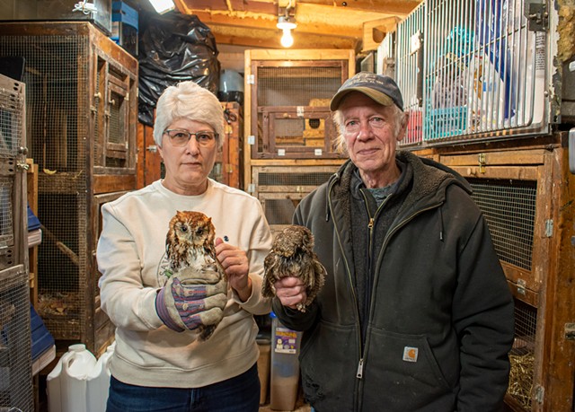 Laurie Case (left) has been helping Bill Bellman get sick and injured animals back on their feet or paws or perches for three years. - PHOTO BY JACOB WALSH