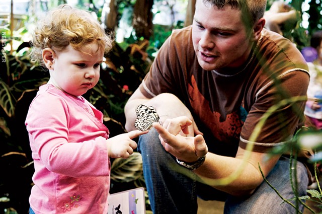 A young muesum-goer inspects a butterfly at the Dancing Wings Butterfly Garden in the Strong National Museum of Play. - FILE PHOTO