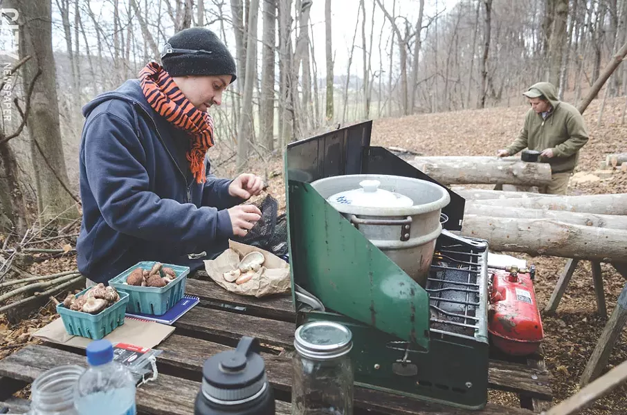 Noah and Abe inoculate the logs with a mushroom spawn and it will take about a year or longer before mushrooms can be harvested. - PHOTO BY MARK CHAMBERLIN