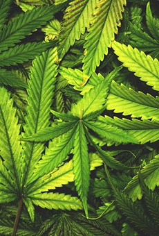 State 'close' to marijuana legalization, Assembly speaker says