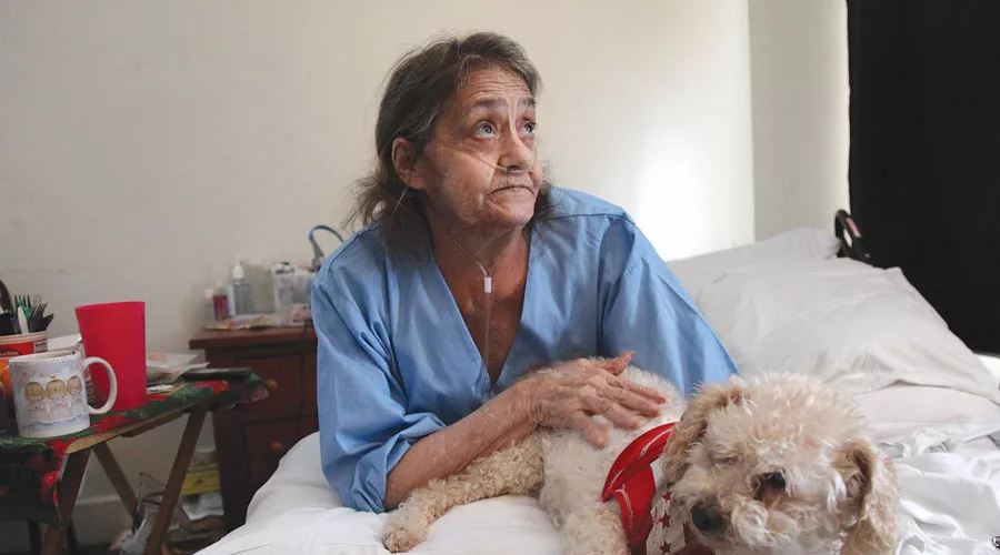 Linda Barger sits in the bed of her Sherman Street apartment with her dog, Bear.