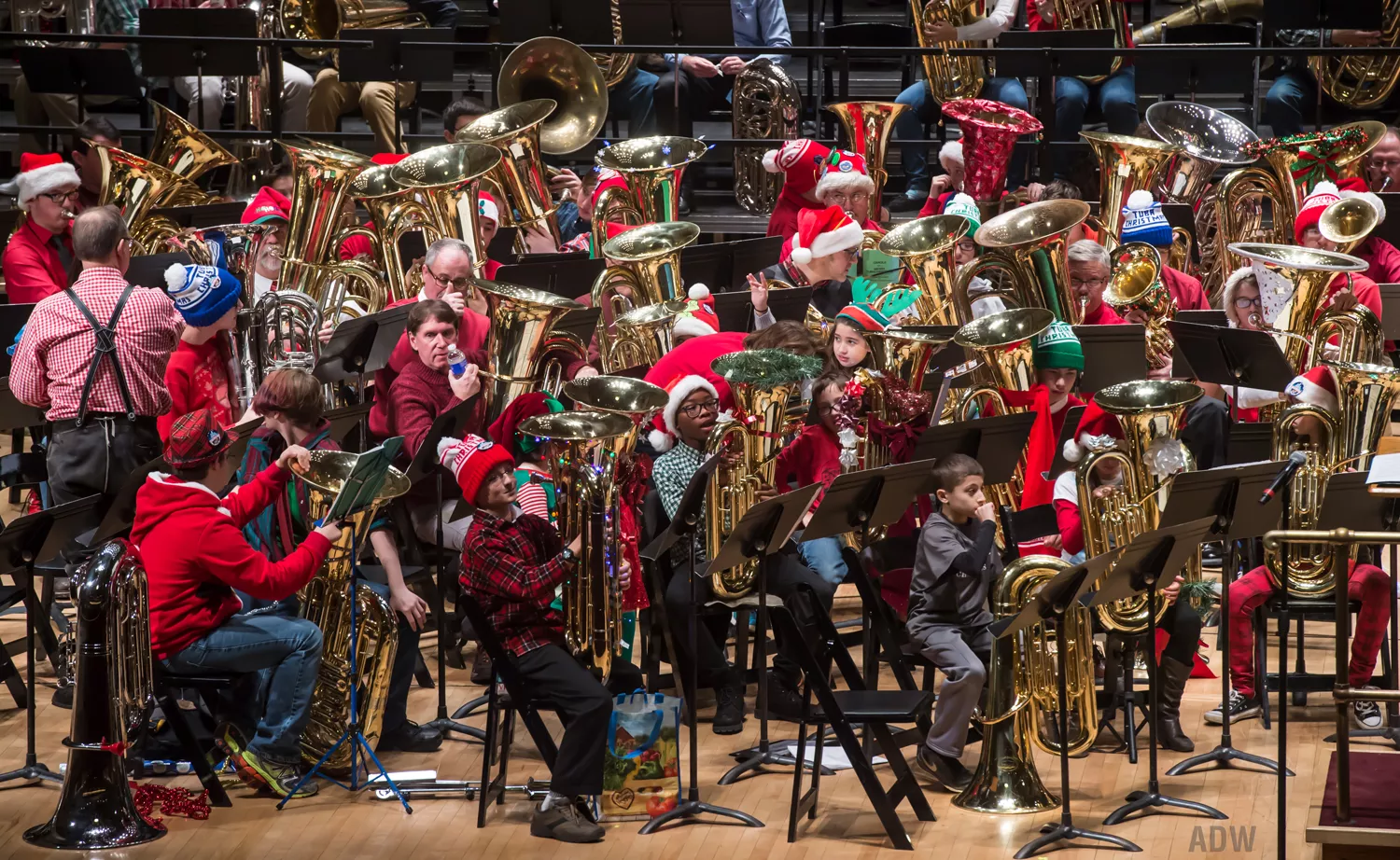 Charlotte Tuba Christmas 2022 How Rochester Tuba Christmas Became A Low-Brass Holiday Highlight | Culture  | City News. Arts. Life.