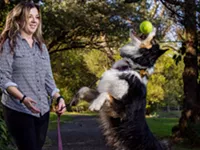 Best Dog Park: Ellison Park Dog Park