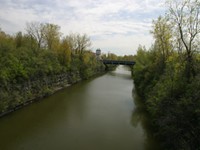 Canal tree plan meets growing resistance