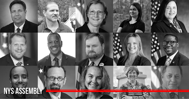 Meet the 15 Rochester-area Assembly candidates - Vimarsana News