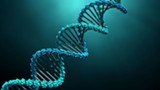 DNA - Uploaded by BMF