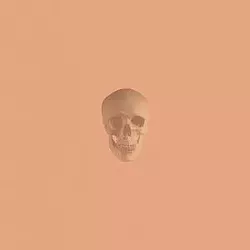 music_cd_pomegran_cmyk.jpg