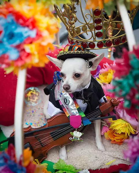 Pets are often among King William Fair’s best dressed guests. - COURTESY