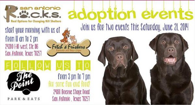 adoption events near me dog