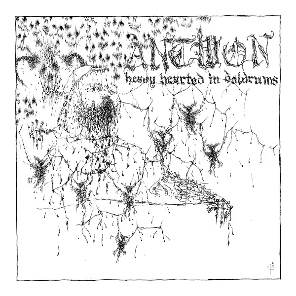 albums1-1.jpg