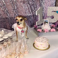 This Corpus Christi Dog Had a Quince&ntilde;era And We're Sad We Weren't Invited